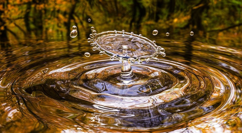 Fluid motions