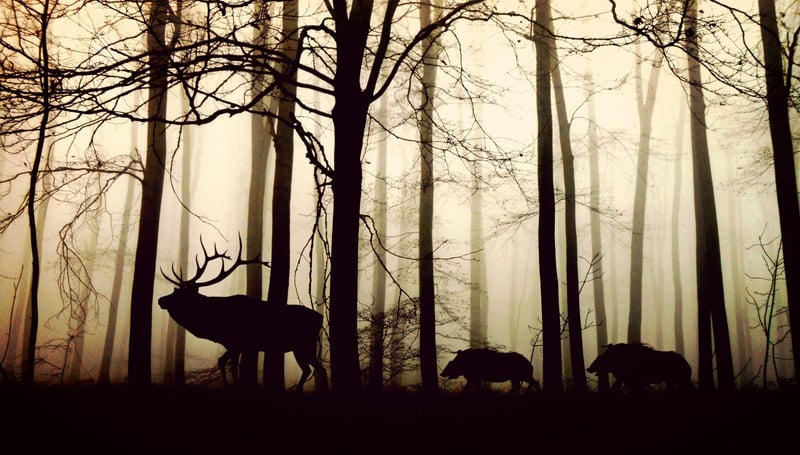 Silent movement